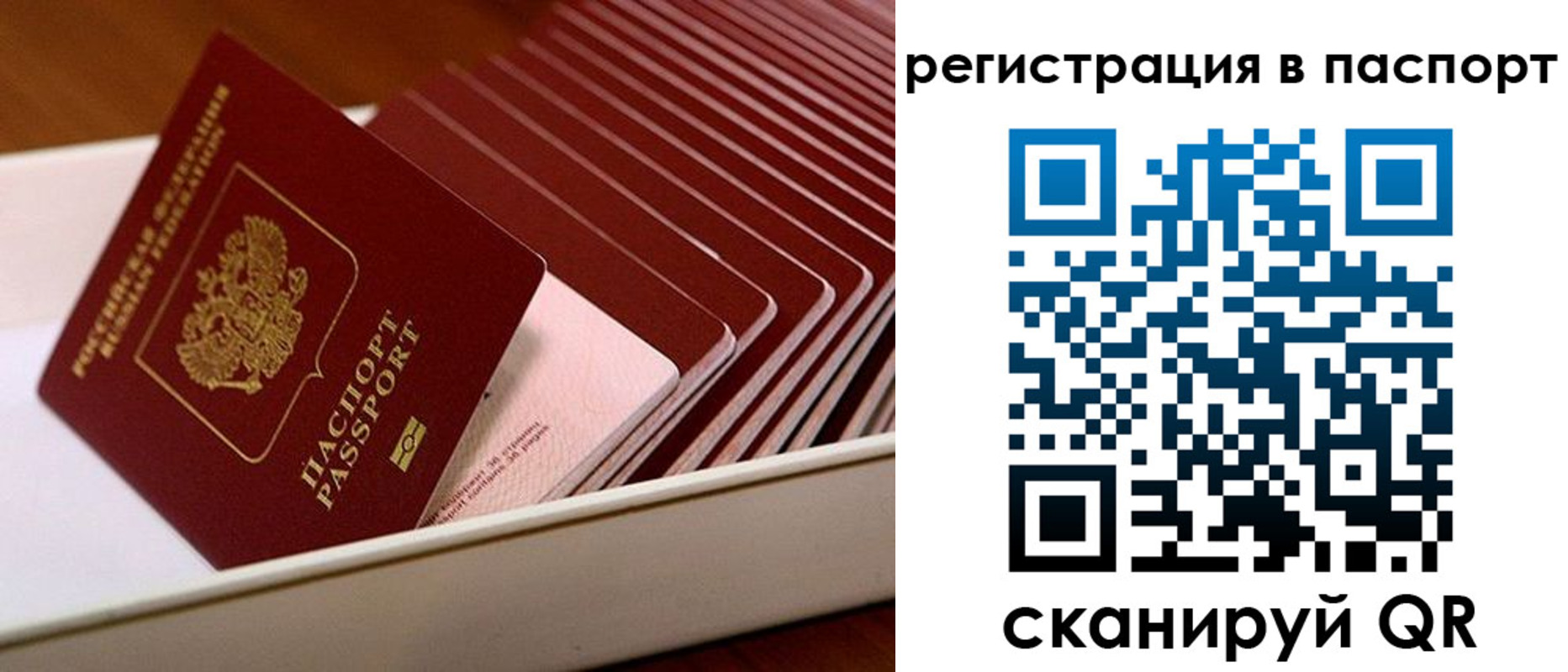 форма 3 в Рязанской области