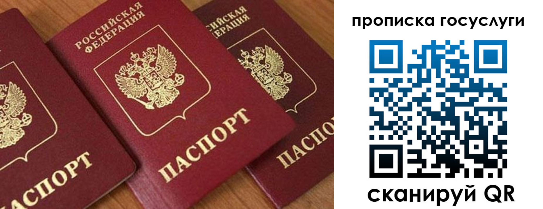 временная прописка в Рязанской области